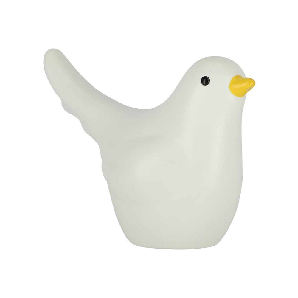 Bird Watering Can