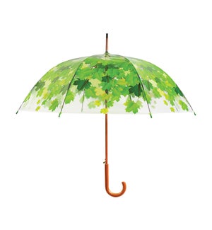 "Umbrella tree, 36.5in (D)"