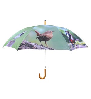 Umbrella Birds