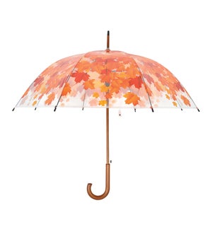 Umbrella Tree Autumn