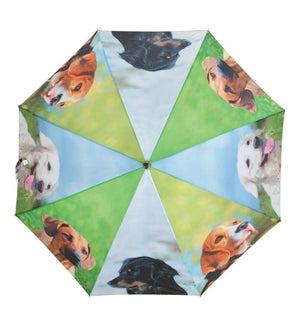 "Umbrella dogs, 47.3in (D)"
