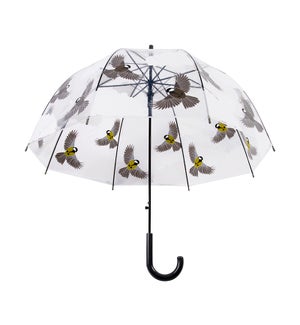 "Transparent umbrella 2 sided b, 31.9in (D)"