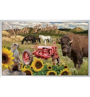 ND Small Tin Plate Scene Magnet