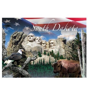 SD 3D Magnet US Flag & Eagle
