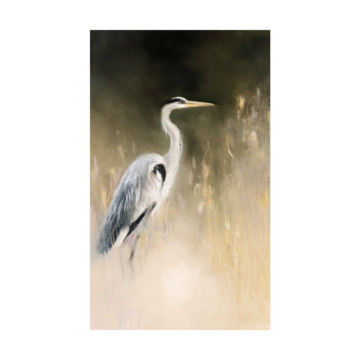 Picture of EGRET III GALLERY WRAP