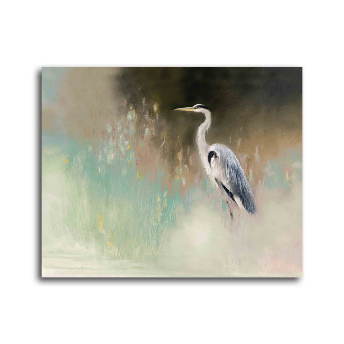 Picture of EGRET I GALLERY WRAP