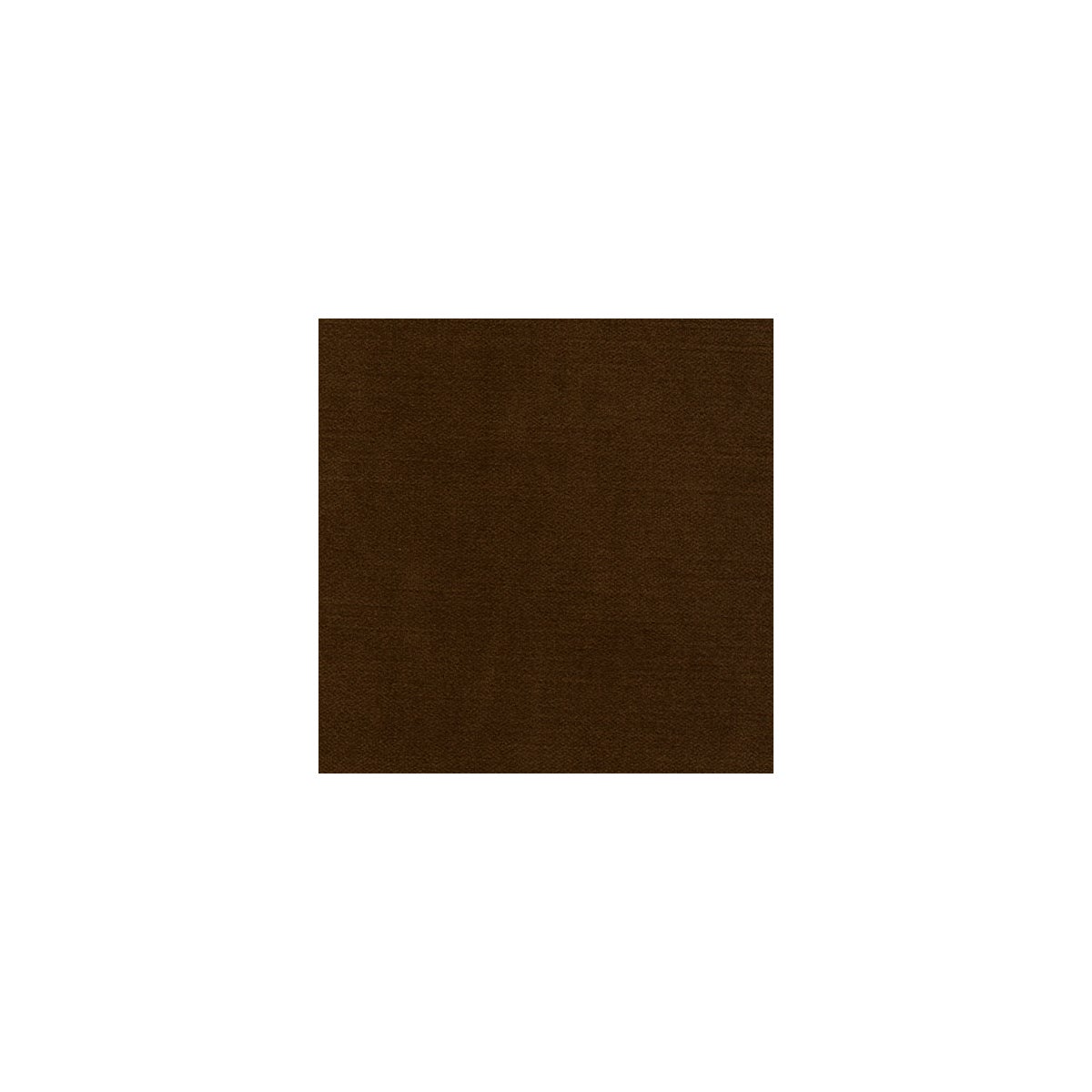 Caldwell - Latte - SWATCH - 6"x6"