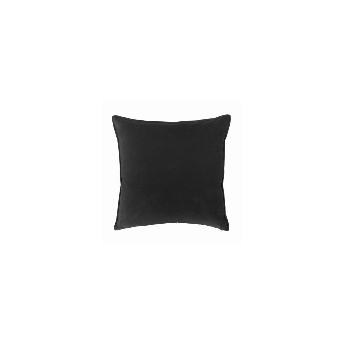 Franklin Velvet - Black - Pillow - 22" x 22"