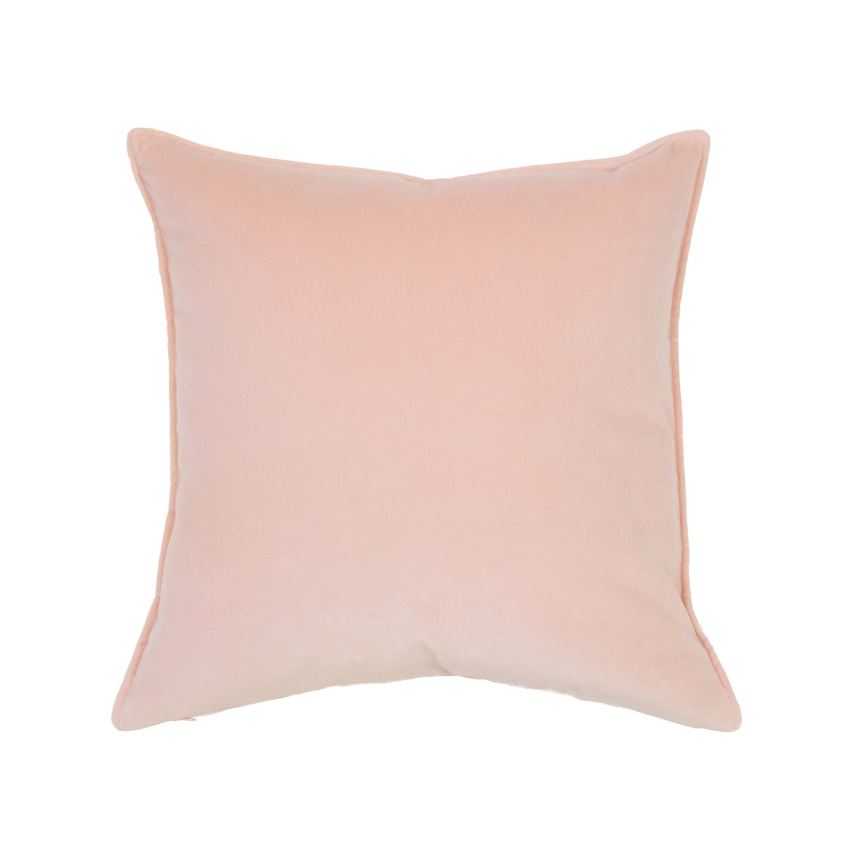 Franklin Velvet - Rosewater - Pillow - 22" x 22"