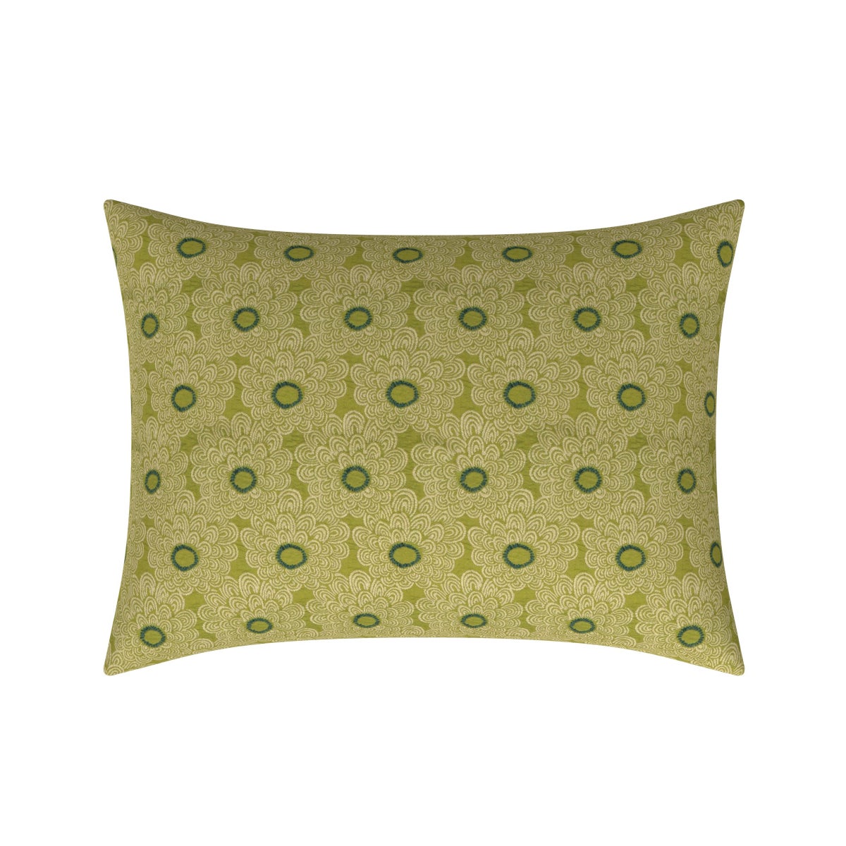 kiwi pillow