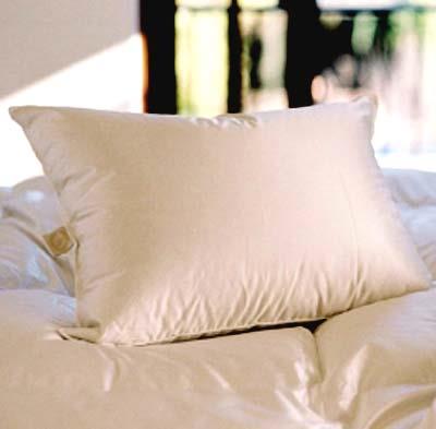 10 x clearance 10 pillow form