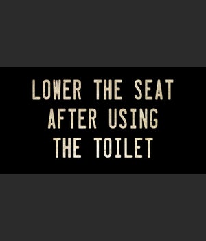 LOWER THE SEAT AFTER USING THE TOILET
