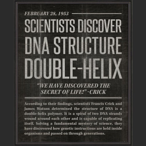 BC DNA Structure black lg