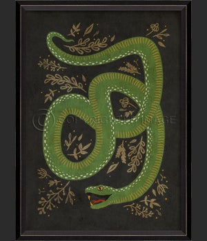 BC The Prosperous Snake on black