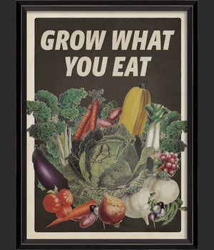 BC Garden Series Grow What You Eat