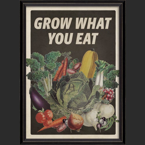 BC Garden Series Grow What You Eat