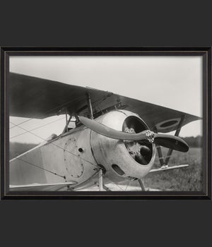 BC Type 17 Plane