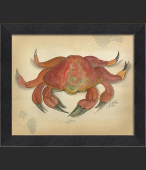 MI Ocean Crab 06