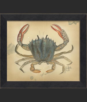 MI Ocean Crab 08
