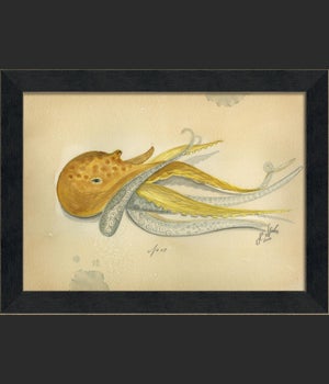 MI Ocean Octopus 09