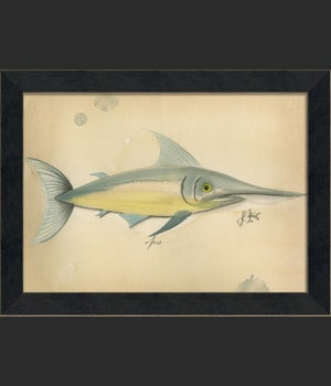 MI Ocean Swordfish 09