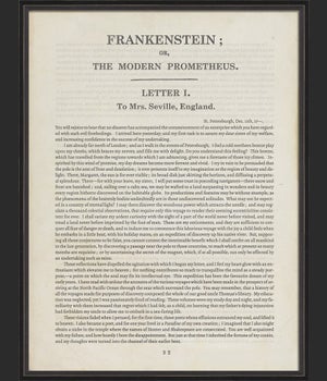 BC Literature Frankenstein