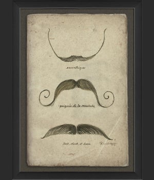 EB Moustache 1