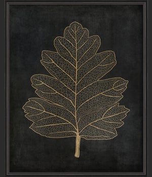 BC Hawthorn Leaf gold on black lg