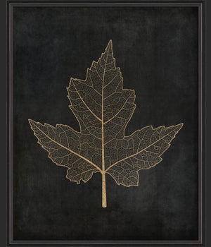 BC Maple Leaf No1 gold on black lg
