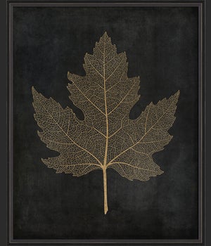 BC Maple Leaf No2 gold on black lg