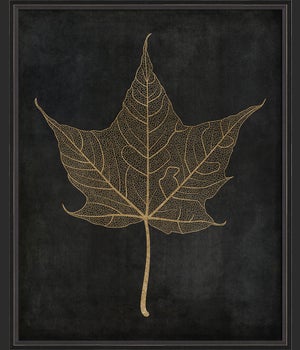 BC Maple Leaf No3 gold on black lg