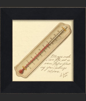 MI Garden Thermometer