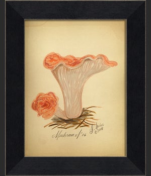 BC Mushroom 06