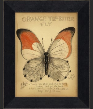MI Orange Tip Butterfly