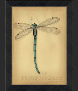 MI Dragonfly