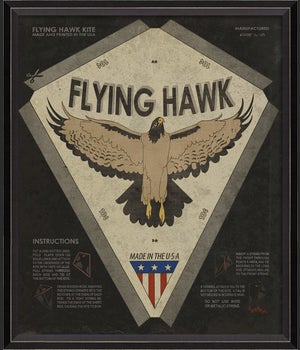 BC Flying Hawk