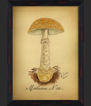 BC Mushroom 02 lg