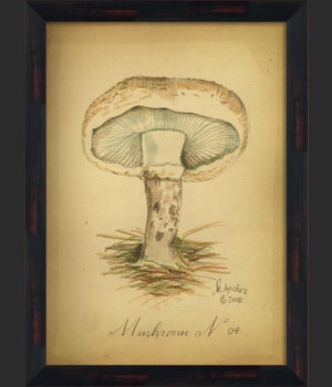 BC Mushroom 04 lg