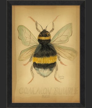 MI Common Bumble Bee