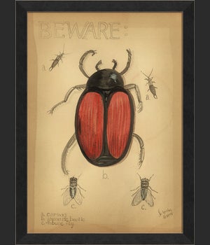 MI Japanese Beetle