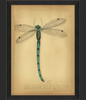 MI Dragonfly