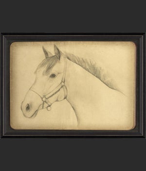BC Sketch of a Horse