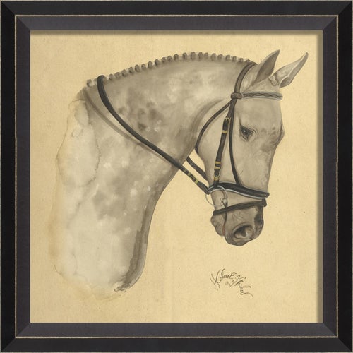 BC Dappled Grey Horse