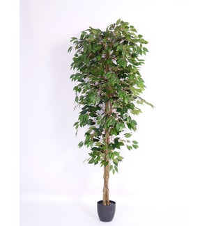6-FT ARTIFICIAL TREE 2/BOX