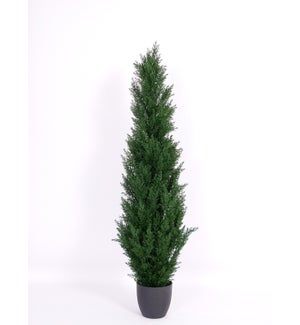 5-FT  ARTIFICIAL TREE 2/BOX