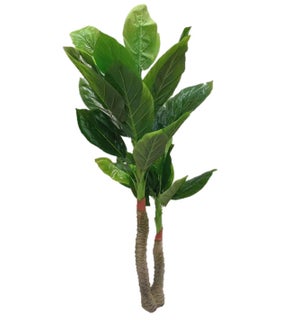 5.29FT ARTIFICIAL  TREES    2/BOX