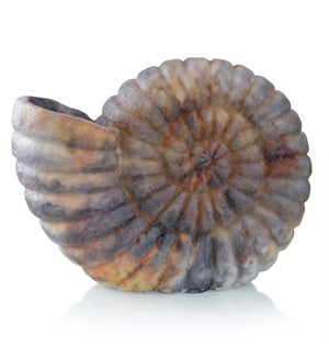 NATURAL CONCH  | Natural Moon Shell Accent Night Light Lamp | 25 Watts | 16in w. X 12in ht. X 8in d.