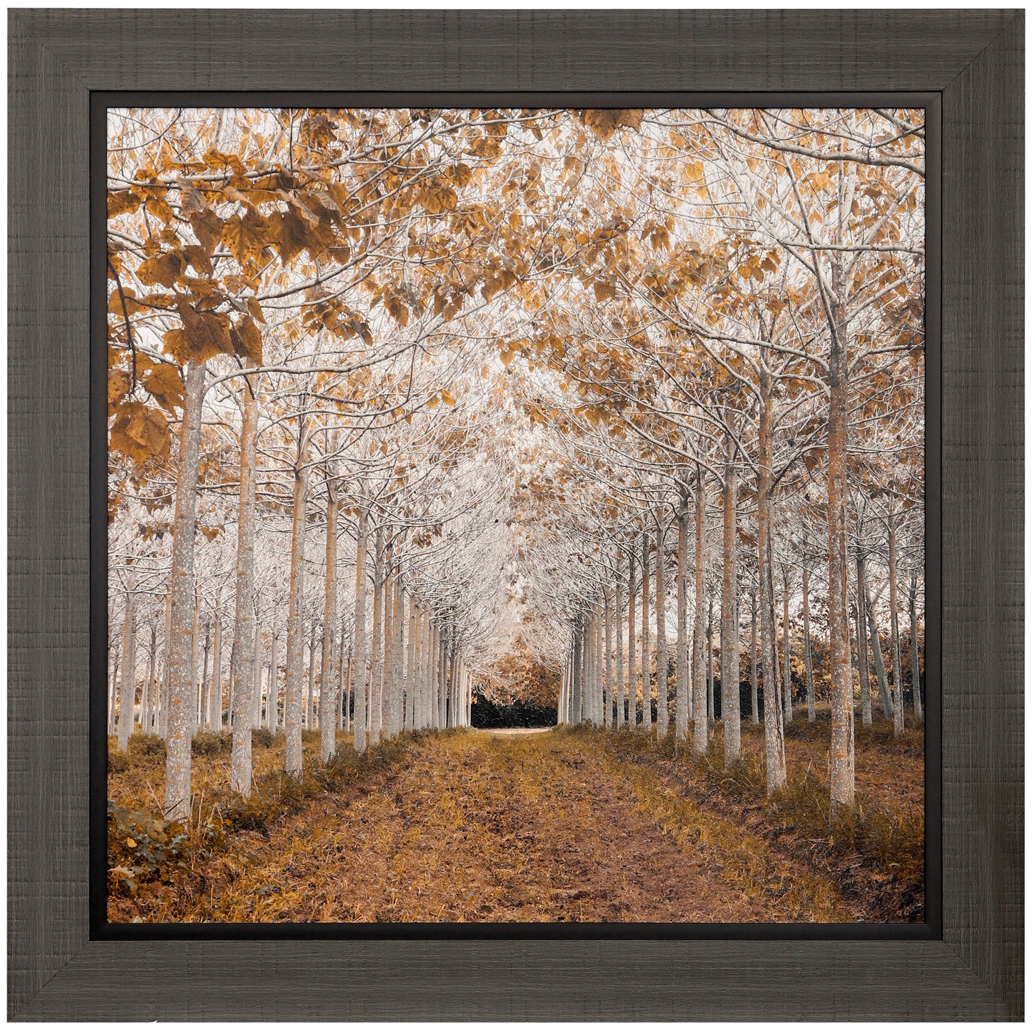 White Gold | Textured Framed Print - search results