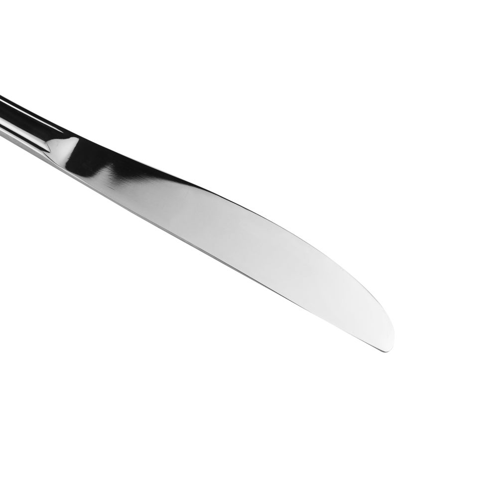 1Pc Dinner Knife (12/120)