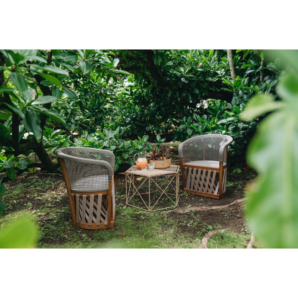 Sonora Arm Chair in Grey